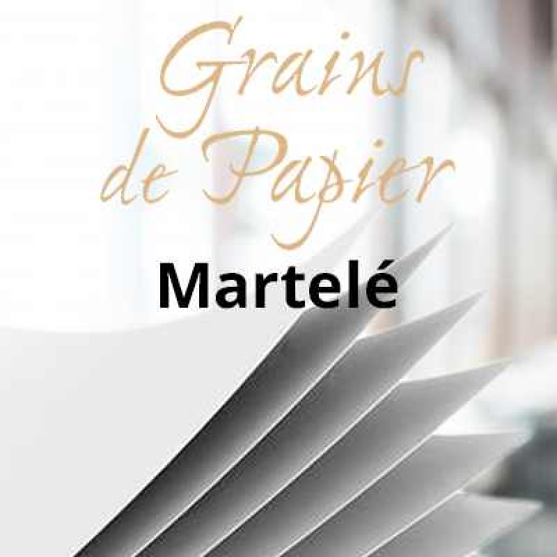 GRAINS DE PAPIER VÉLIN MARTELÉ, papier vélin embossé, REH, névé blanc, 90g,  58x78cm, paq. 500f