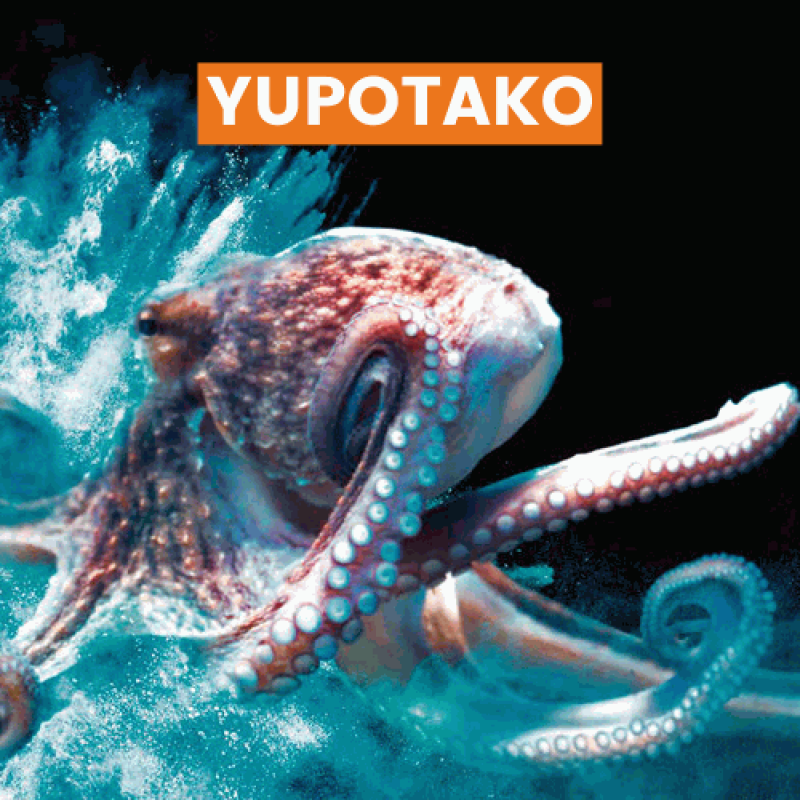YUPOTAKO®, adhésif indéchirable repositionnable, blanc, pour HP Indigo, 240µ, 170g, 46x32cm,paq.250f