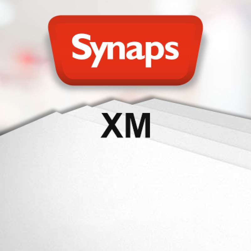SYNAPS XM230, support indéchirable polyester mat, pour toner sec, 200µ, 230g, 32x45cm, paq. 250f