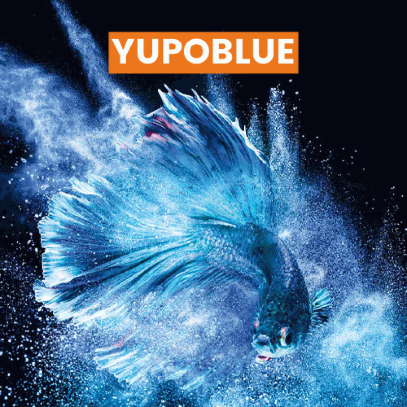 YUPO BLUE®, papier synthétique en polypropylène, blanc, pour HP Indigo, 400µ, 317g, 52x72cm,paq.100f