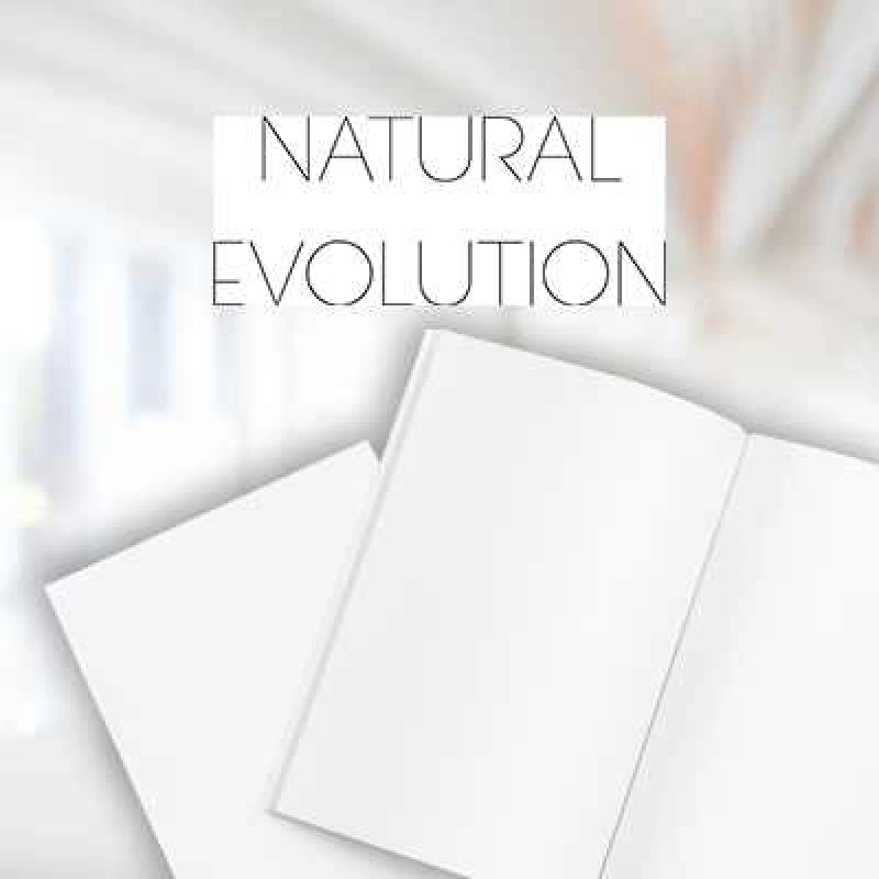 NATURAL EVOLUTION SMOOTH, papier de création extra lisse, extra blanc, 160g,  72x102cm,FSC®,paq. 125f